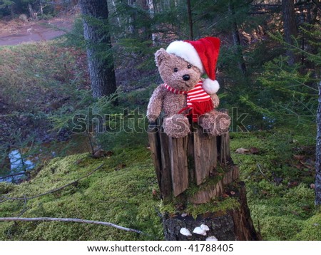 Holiday bear searching for Santa