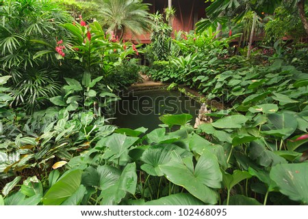 beautiful tropical ornamental  garden in Bangkok, Thailand