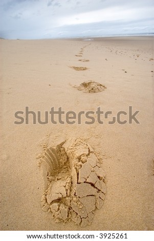sign of life on a wild beach, atlantic coast, France