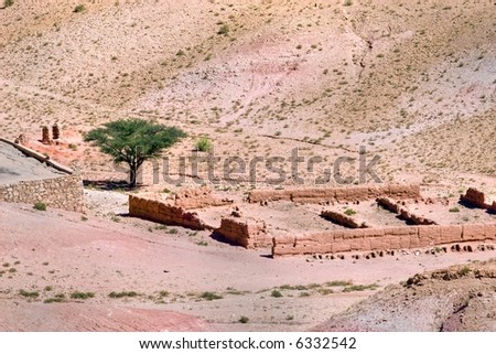 Argania spinosa and ruins in rock desert, Morocco