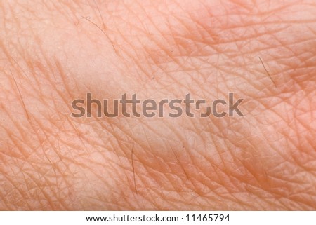 Skin Macro On 40 Years Old Male Arm Stock Photo 11465794 : Shutterstock