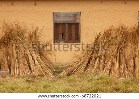 straw drying against clay wall in Terai, Nepal