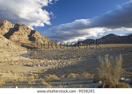 Mesquite and desert grasses dot a wash under rare clouds near Palm Springs, California