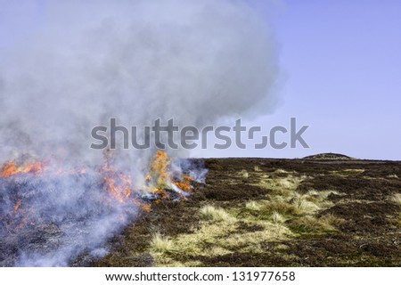 Goathland, Yorkshire, UK. Heather set on fire to invigorate fresh growth. A strategy employed by moorland management in the North York Moors National Park on a rotational basis.