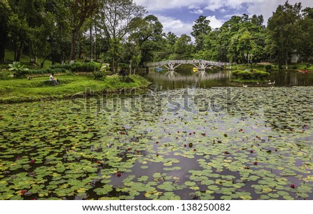 Shillong, Meghalaya, India. Lilly pond with flowers in bloom in a public park with a small wooden bridge in Shillong, Meghalaya, north east India.