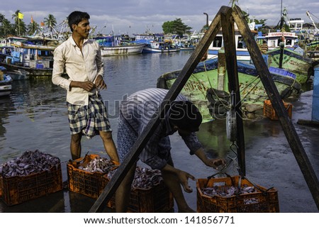 KANNUR, INDIA - DECEMBER 30: Fishermen weigh their catch of fish at the end of the working day on December 30, 2011 at Valapattanam harbour, Kannur, Kerala, India.