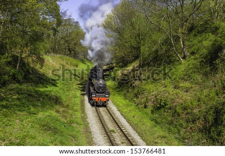 GOATHLAND, UK - MAY 26:  Vintage steam train of the North Yorkshire Moors Railway makes its way through woodland on May 26, 2012 near Goathland, Yorkshire, UK.