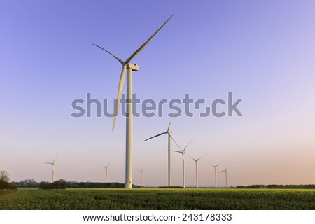 Beverley, Yorkshire, UK. Wind turbines stand still as the sun rises over a field of oilseed rape near Beverley, East Riding of Yorkshire, UK.