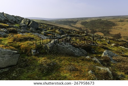 Goathland, Yorkshire, UK. North York Moors National Park at dawn reflecting the rugged, rolling landscape with heathe, rocks, and grasses near the village of Goathland, Yorkshire, UK.