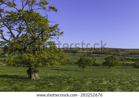 Glaisdale, Yorkshire, UK. Oak trees in a field at dawn with a farmhouse in the background in the heart of the North York Moors National Park near the village of Glaisdale, Yorkshire, UK.