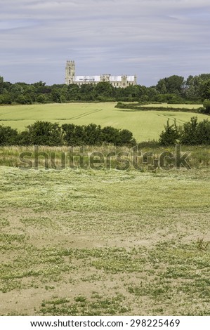 Beverley, Yorkshire, UK. Beverley Minster as viewed from across arid land and wheat fields flanked by trees in summer, Beverley, Yorkshire, UK.