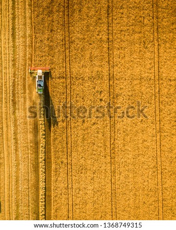 Similar – Image, Stock Photo Grain field from above