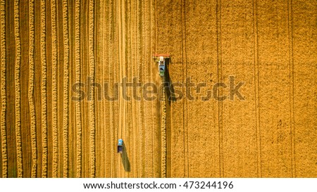 Image, Stock Photo Grain field from above