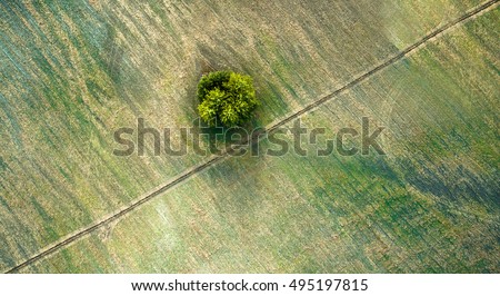 Similar – Image, Stock Photo aerial view over agricultural gardens in spring time