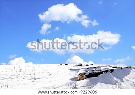 A winter landscape, the cold desert, the cut trunks of trees covered by a snow, light blue, the sky, easy white clouds.