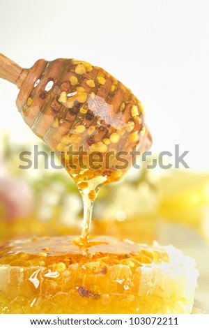 honey flow