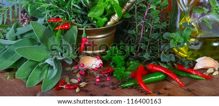 Mixed herbs of sage, rosemary, basil with red hot pepper in mortar with pestle on white background