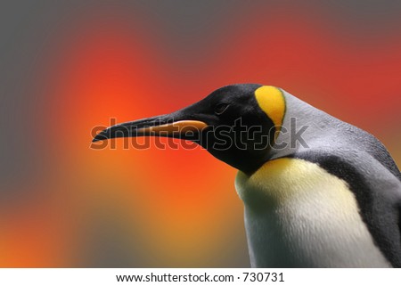Penguin with a modified background