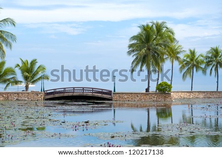 Bridge at tropical garden, lotus pond, coconut tree