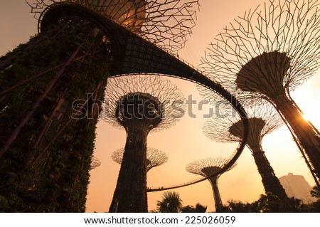 SINGAPORE - MARCH 09: Silhouette of Gardens by the Bay on March 09, 2014 in Singapore. Gardens by the Bay was crowned World Building of the Year at the World Architecture Festival 2012
