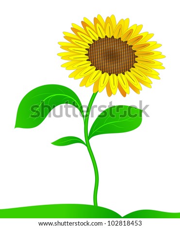 Sunflower On A Stalk With Leaves. Vector. Eps 8 - 102818453 : Shutterstock