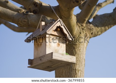 Bird-feeder in a tree.  A Bird feeder is a device placed out-of-doors to supply bird food to birds