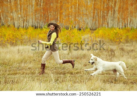 Young golden retriever for a walk with his owner. Dog breed labrador outdoors.