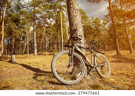 mountain bike outdoor. extreme sport in the nature
