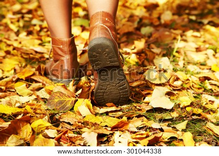 female legs in brown shoes on a background of yellow autumn leaves. women\'s footwear in the fall outdoor