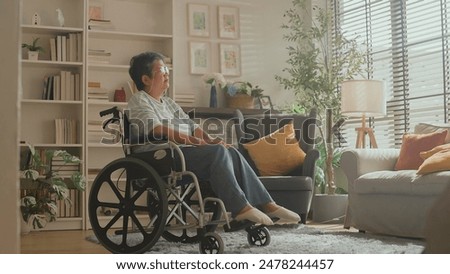 Similar – Image, Stock Photo Woman in wheelchair with her dog outdoors