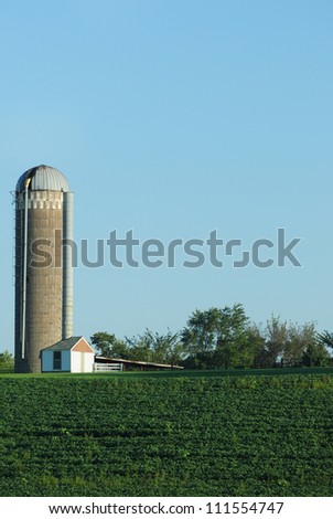 Farm with soy beans and silo in the country in rural america