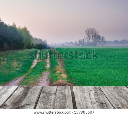 Field of green cereal at morning with wood floor