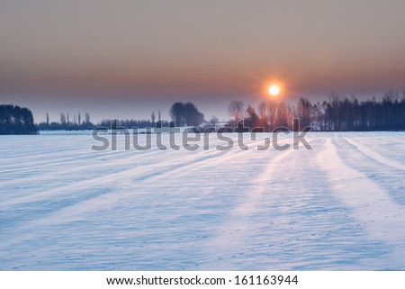 winter sunset over field