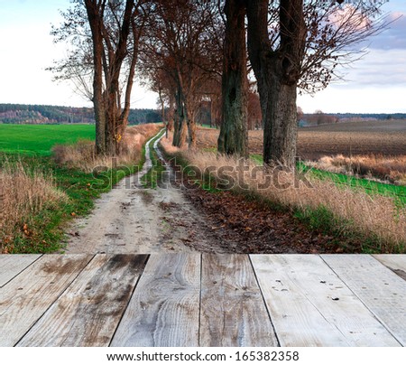 rural sandy road with withered trees and wood floor