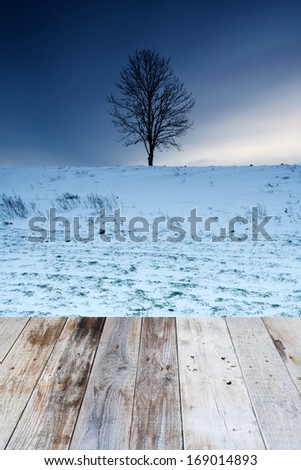 winter field and withered trees landscape