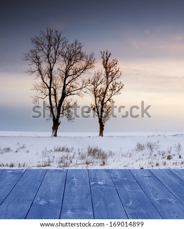 winter field and withered trees landscape