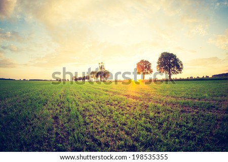 vintage photo of green field at sunset