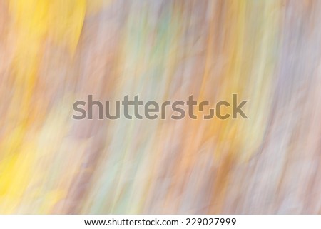 blurry nature abstraction background with autumnal colors