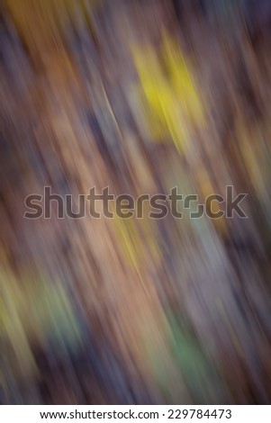 blurry nature  abstraction