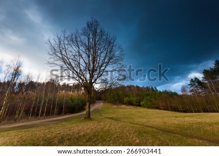 Beautiful landscape with dramatic sky over withered trees on field. Stormy majestic sky