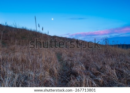 Moonrise over rural wild field or grassland. Blue hour