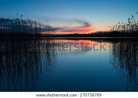 Beautiful sunset over calm lake. Colorful and vibrant landscape of lake shore with reeds. Tranquil landscape useful as background