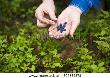 Similar – Image, Stock Photo Picking wild blueberries in the forest