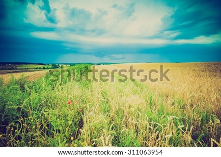 Vintage photo of storm clouds over wheat field. Danger weather with dark sky over fields- photo with vintage mood effect.