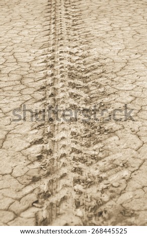 Parched and tire marked ground in summer time