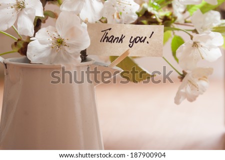 Banner with thank you and white spring blossoms as background.