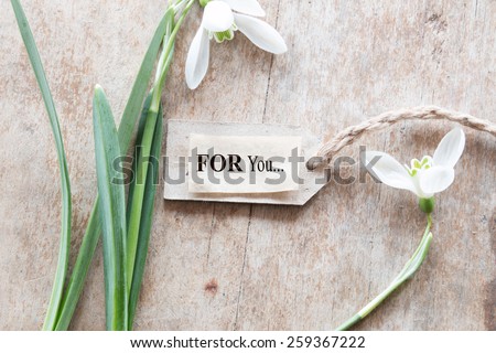 For you card. Beautiful snowdrops on wooden background and text for you.