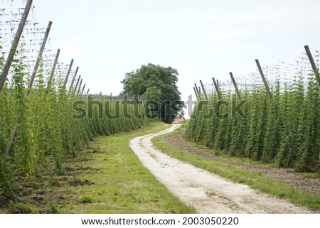 Similar – Foto Bild Reinheitsgebot | grünes Versprechen