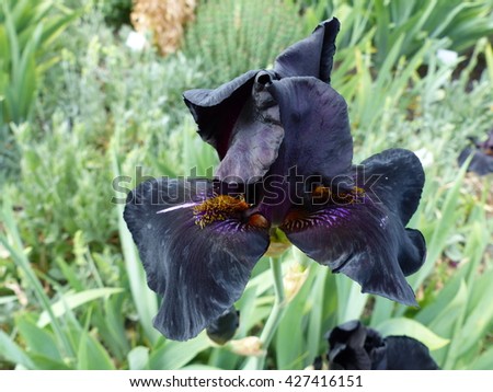 Shutterstock