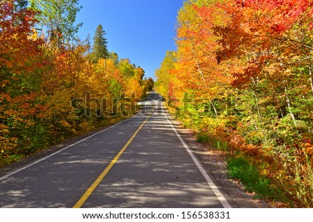 A road through the laurentian forest in the fall, Quebec, Canada